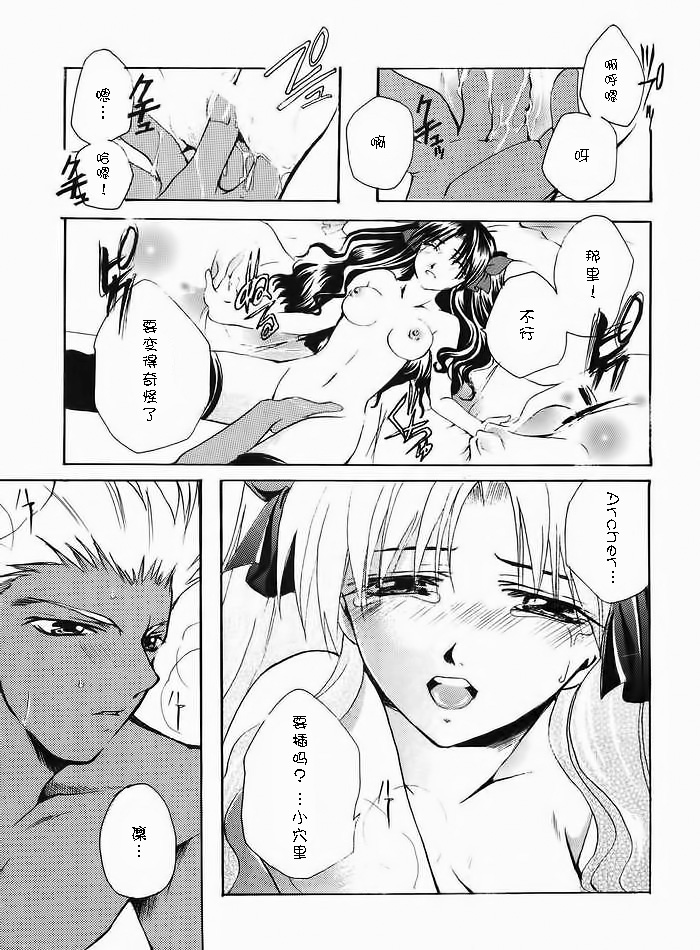 (みみけっと10) [RED DATA BOOK (天乃柳綺)] Albireo (Fate/stay night) [中国翻訳]
