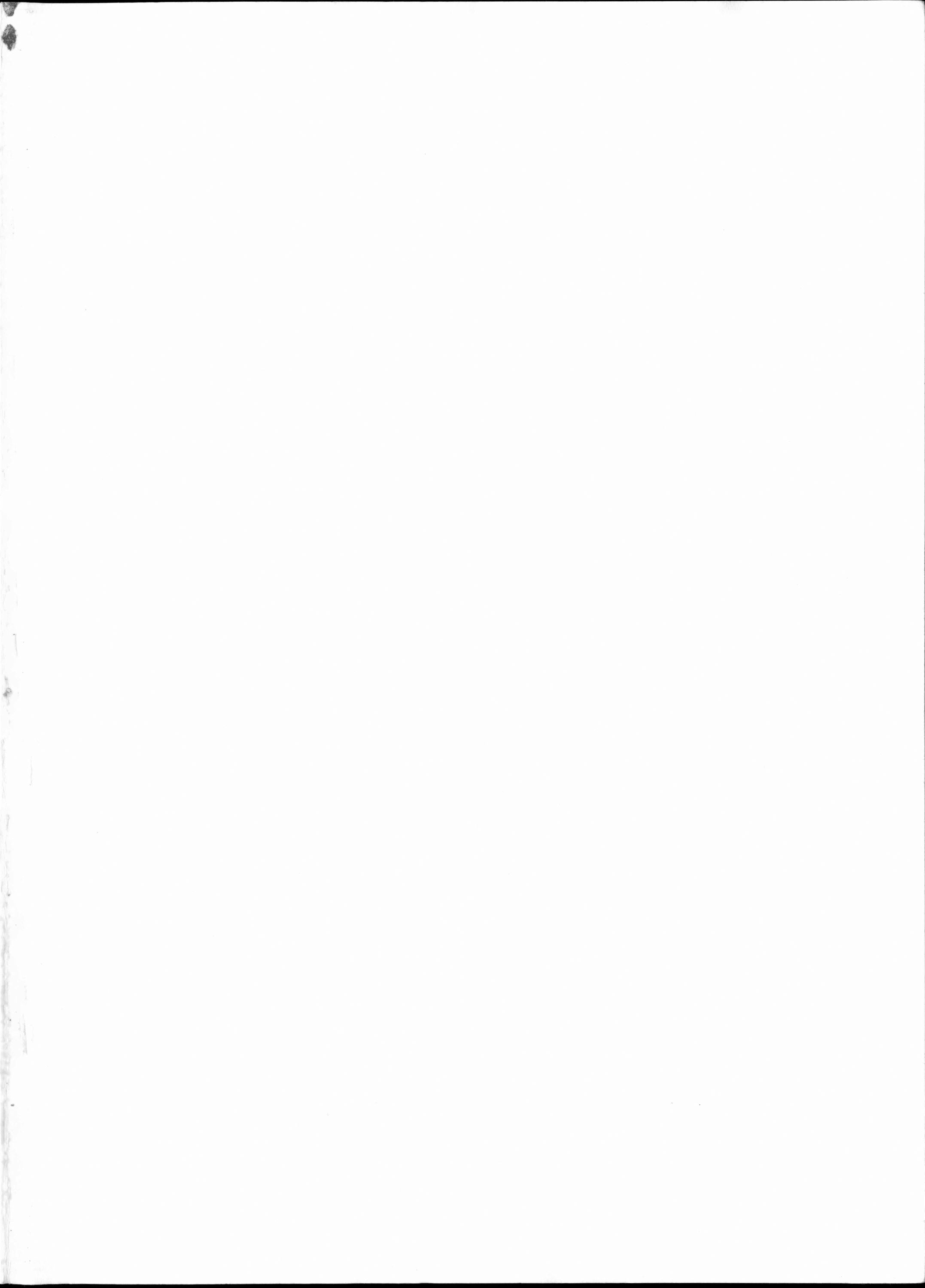 (C39) [パスカル企画 (MORII)] Rose 2