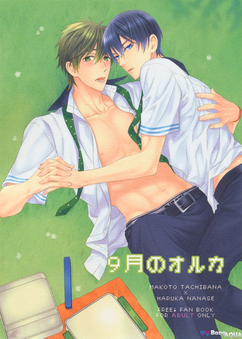 (C85) [我楽多 (芹沢要)] 9月のオルカ (Free!) [英訳]