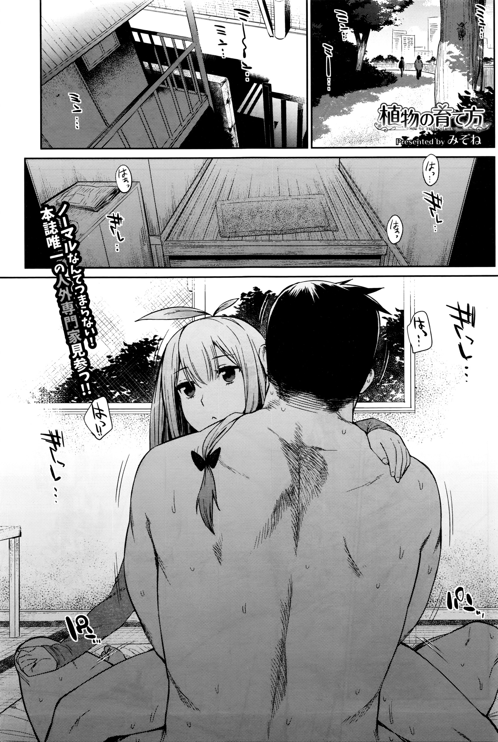 COMIC BAVEL 2016年4月号