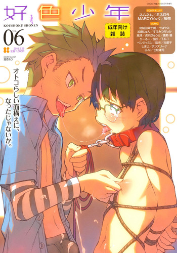 好色少年 Vol.06 [DL版]