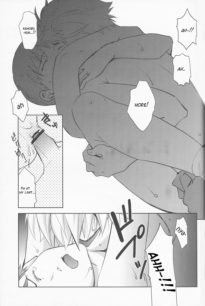 (君との連弾3) [月面スパイラル (真山さと莉)] セクシャリティの理想論 (新世紀エヴァンゲリオン) [英訳]