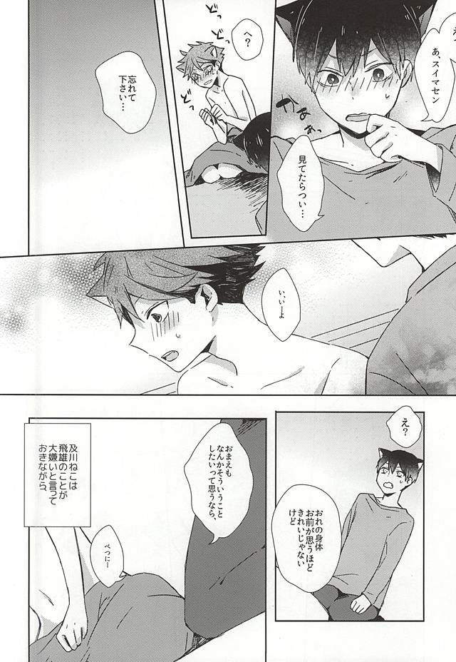 (RTS!!5) [少年H (ゆうき)] 猫になった及川さん (ハイキュー!!)