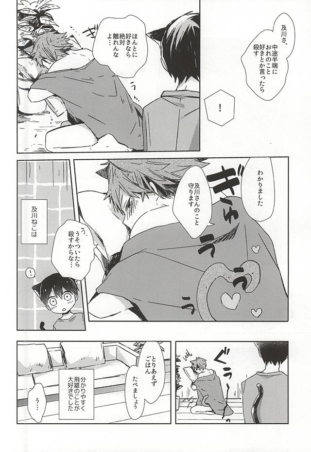 (RTS!!5) [少年H (ゆうき)] 猫になった及川さん (ハイキュー!!)