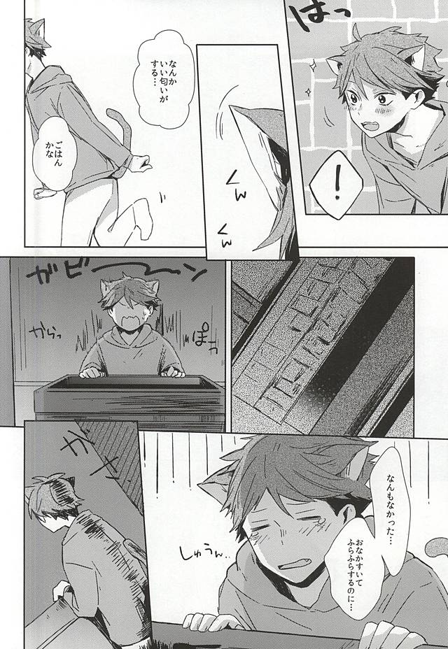 (RTS!!5) [少年H (ゆうき)] 猫になった及川さん (ハイキュー!!)