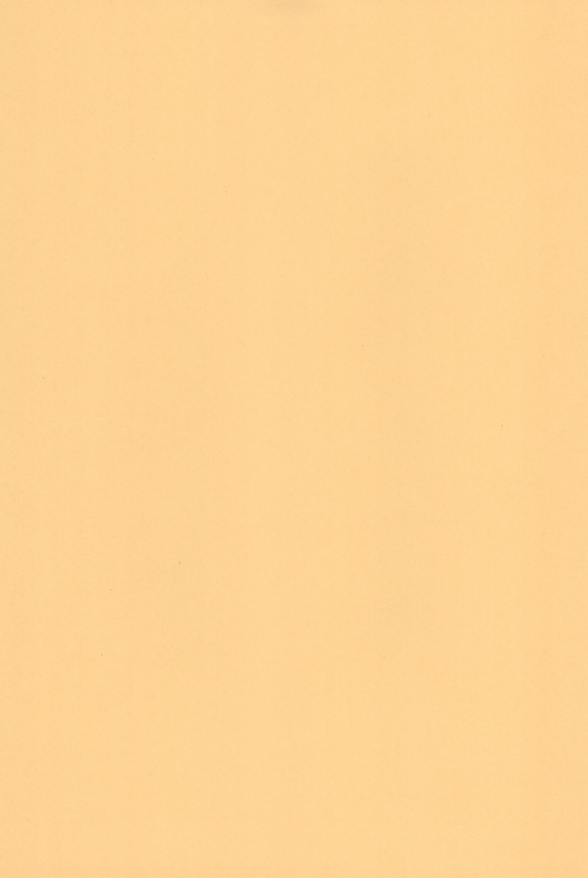 (C74) [あしの家 (たりる。)] 貧乳娘19 (ベルセルク)