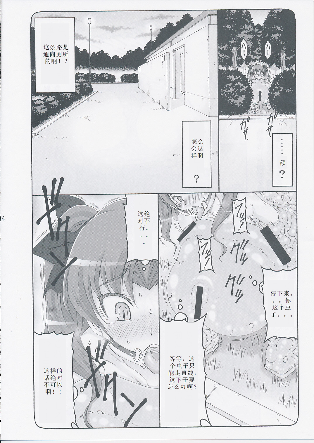 (C87) [暴れん坊天狗 (泉ゆうじろ～)] 蟲鳥 11 (Fate/stay night) [中国翻訳]