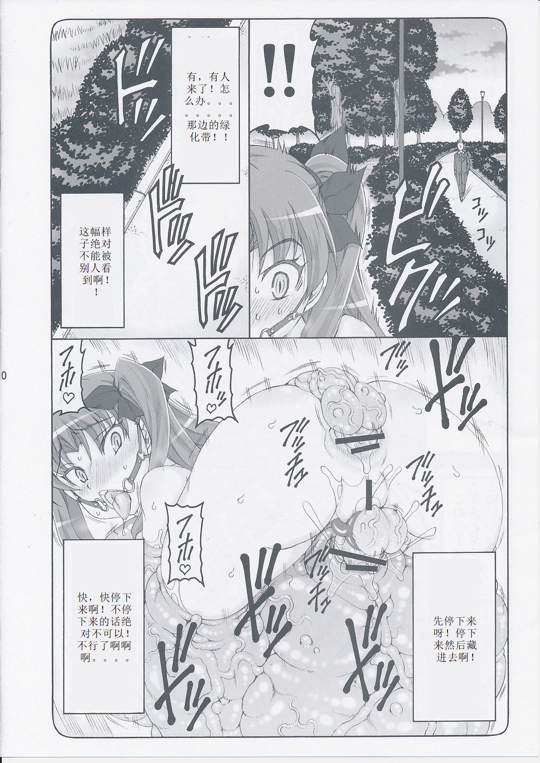 (C87) [暴れん坊天狗 (泉ゆうじろ～)] 蟲鳥 11 (Fate/stay night) [中国翻訳]