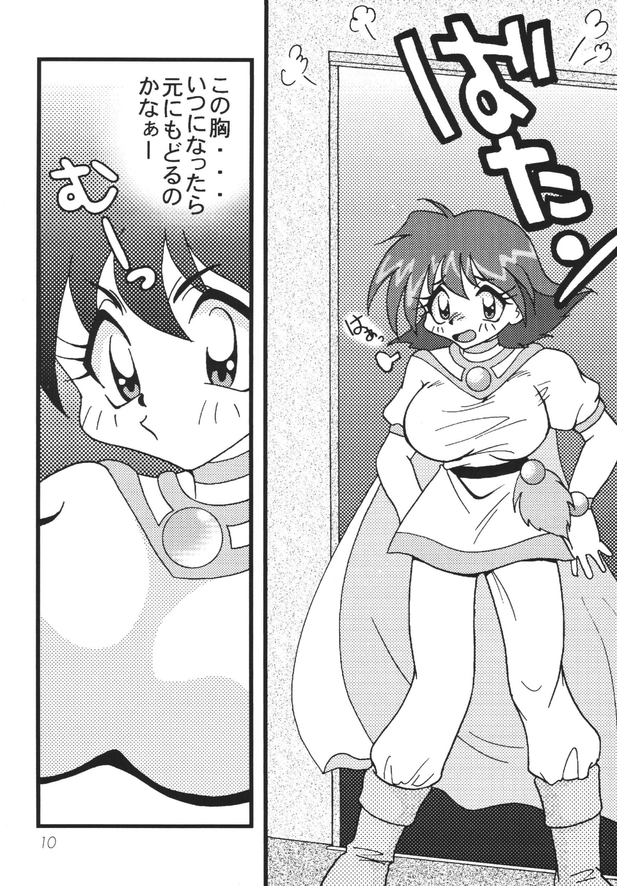 [銀桃堂 (みたさとみ)] SLAYERS ADULT 10 (スレイヤーズ) [DL版]
