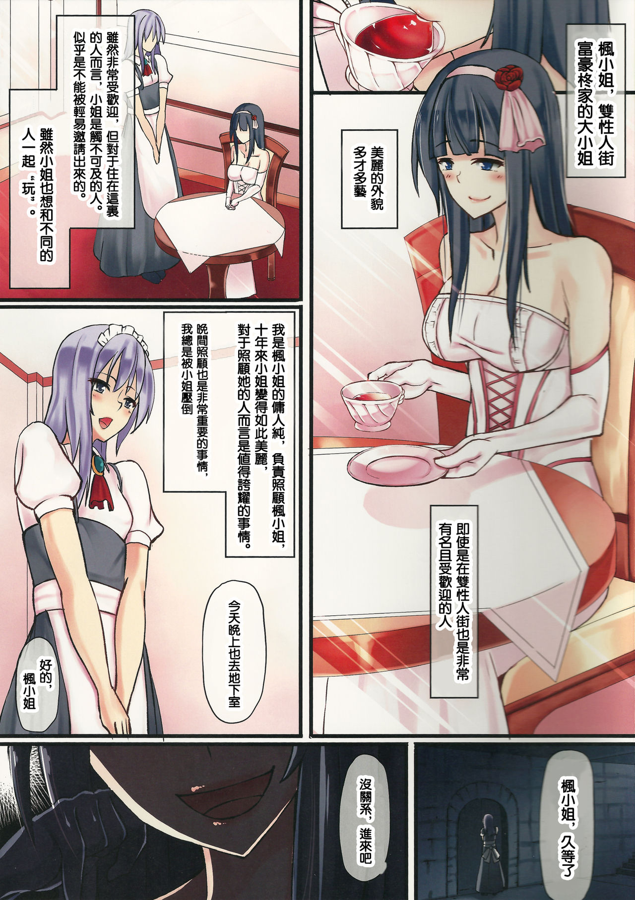 (ふたけっと11) [タピオカボックス (にゅーひん)] お嬢様と使用人 [中国翻訳]