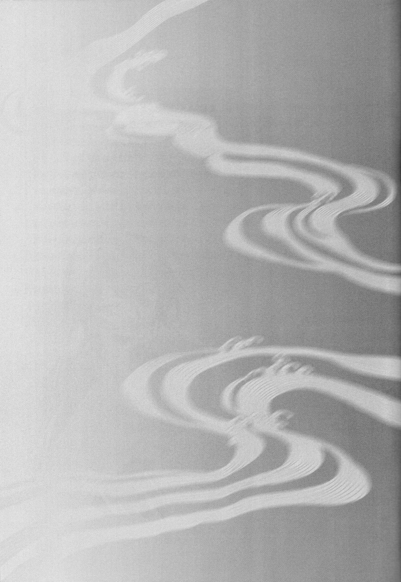 (こみトレ13) [にゃごズ (夜天月)] 白濁B2 (コードギアス 反逆のルルーシュ) [英訳]