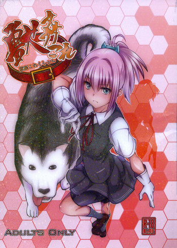 (サンクリ61) [漸速ライダー (天漸雅)] 獣姦これくしょん (艦隊これくしょん -艦これ-) [英訳]