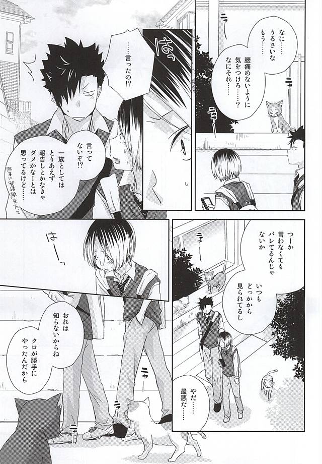 (RTS!!5) [MOBRIS (トモハル)] 猫男一族の交尾レポート (ハイキュー!!)