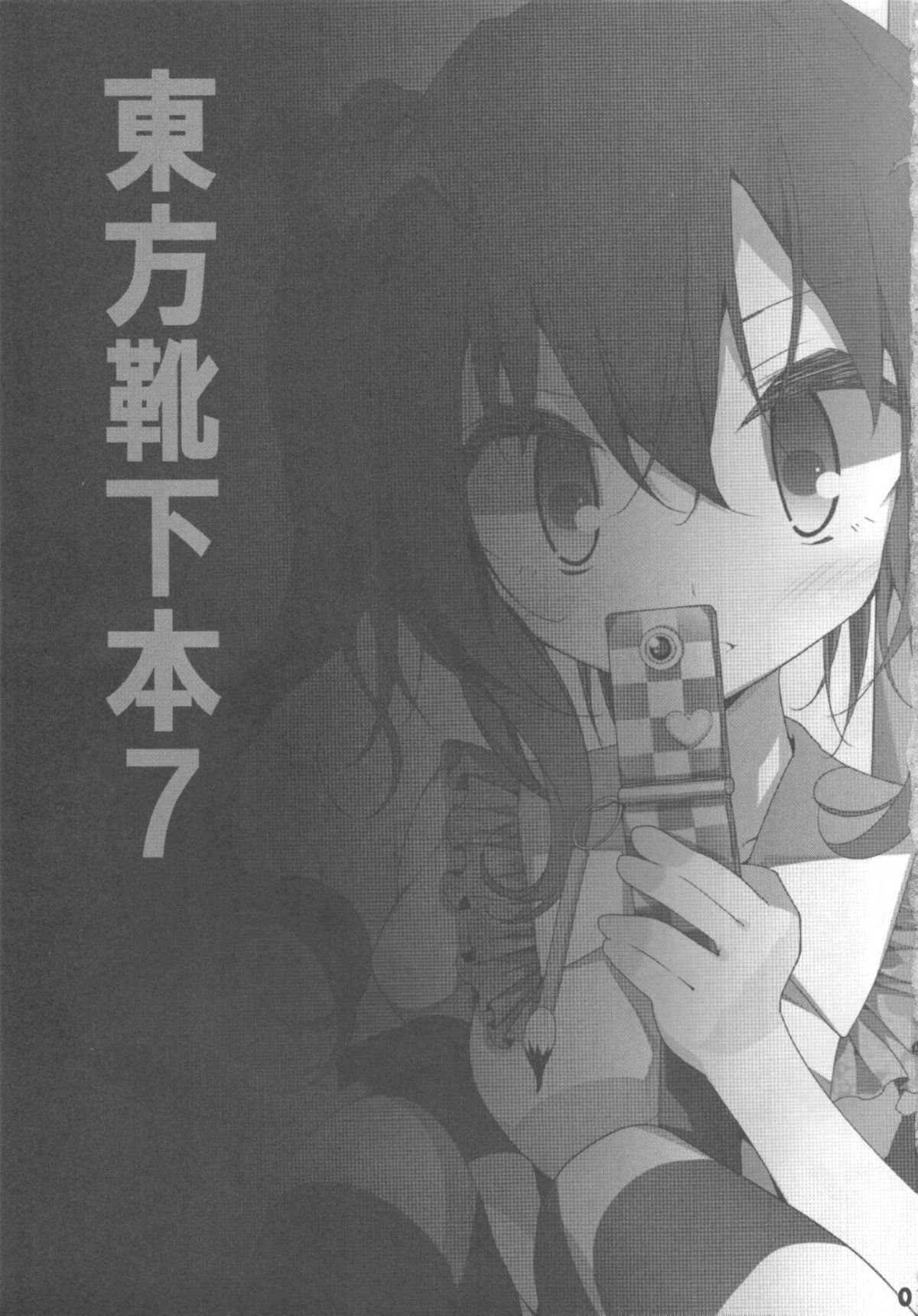 (例大祭8) [嘘つき屋 (大嘘)] 東方靴下本7 (東方Project) [中国翻訳]