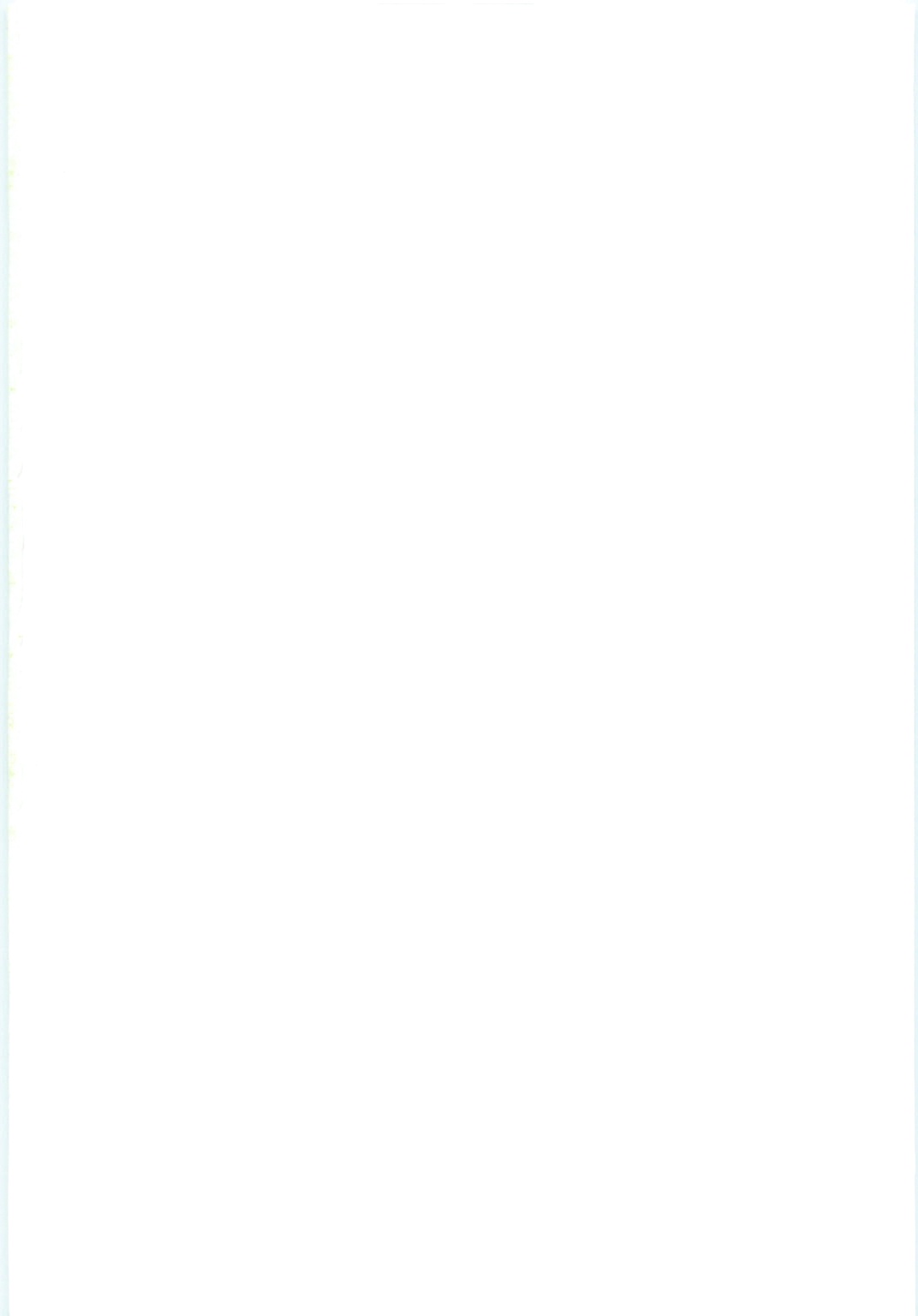 [夜食亭 (あかざきやすま)] ティファのお夜食。2 (ファイナルファンタジーVII)