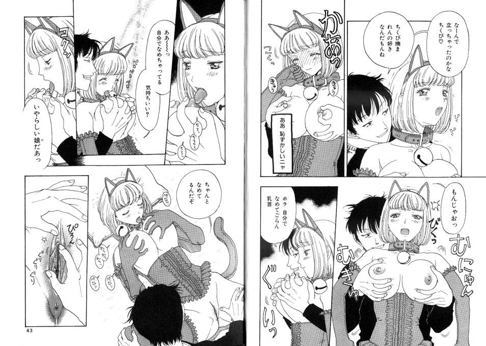 [小林少年] 性奴隷目録