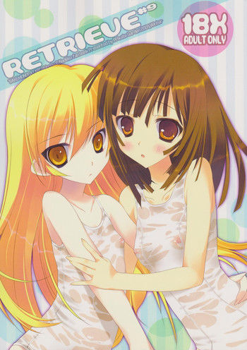 (C77) [Private Garden (鶴崎貴大)] retrieve #9 (化物語)