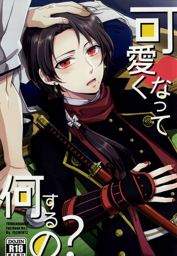 (HARUCC20) [152HERTZ (こいけん)] 可愛くなって何するの? (刀剣乱舞)