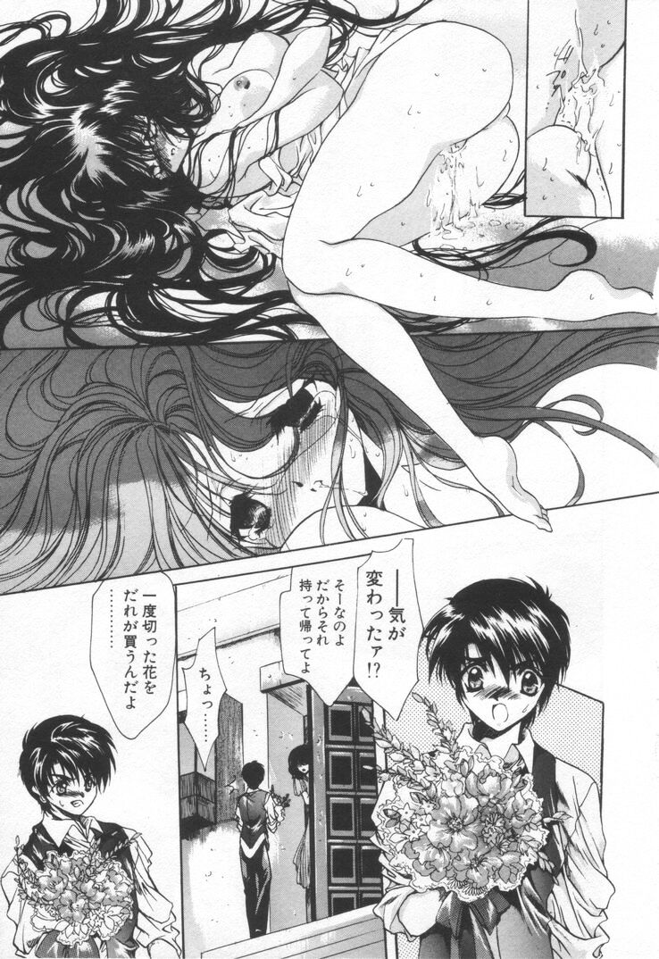 [速瀬羽柴] オーバチュア