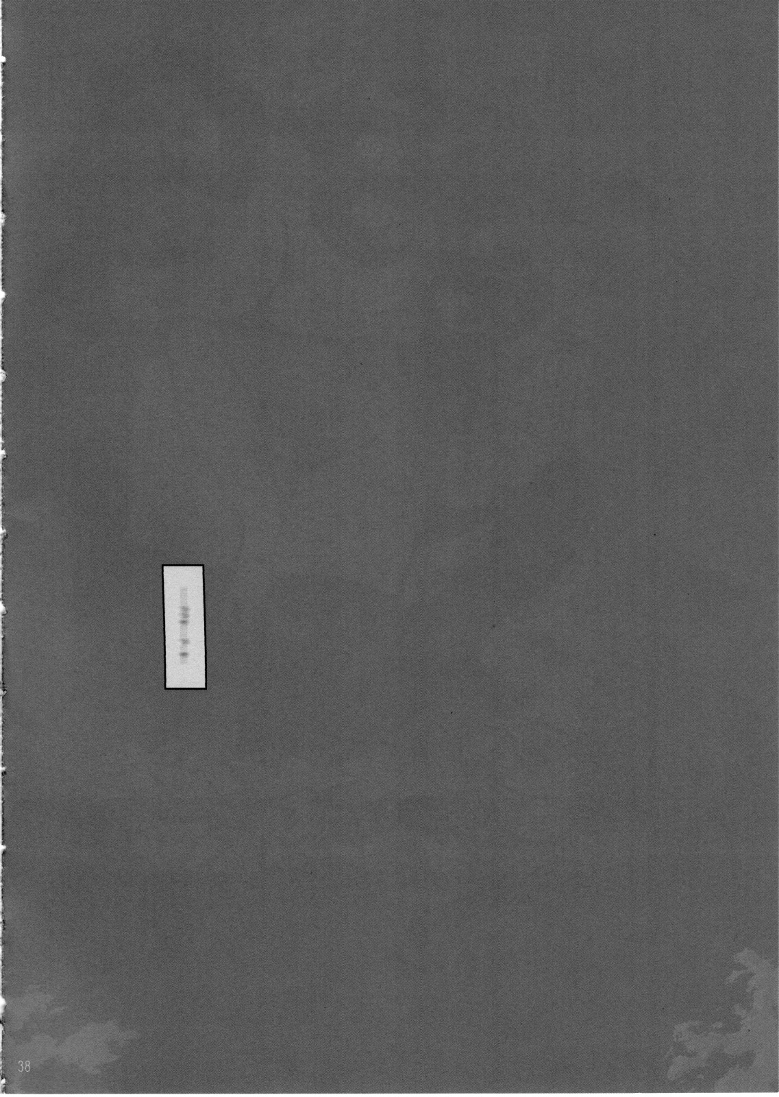 (C85) [RPGカンパニー2 (遠海はるか)] Movie Star 5h (ああっ女神さまっ)