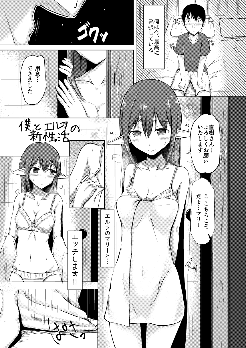 【ロイル】僕とエルフの新性活