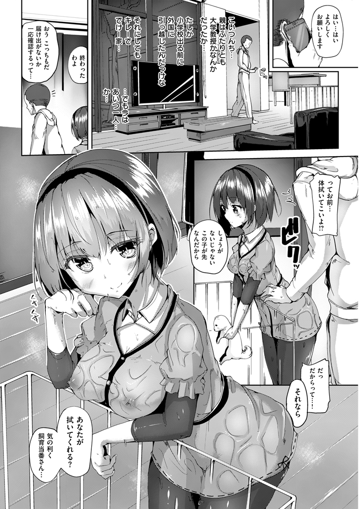 COMIC 快楽天ビースト 2016年1月号 [DL版]