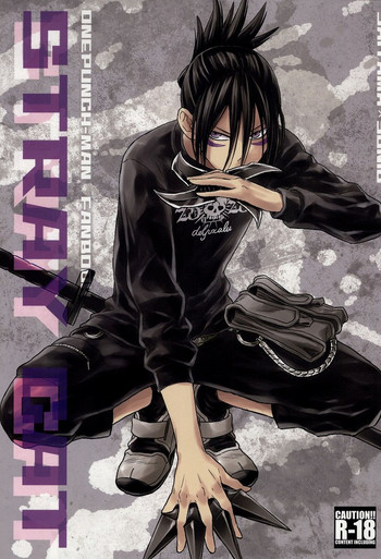 (C86) [リシアム (ユキマル)] stray cat (ワンパンマン) [英訳]