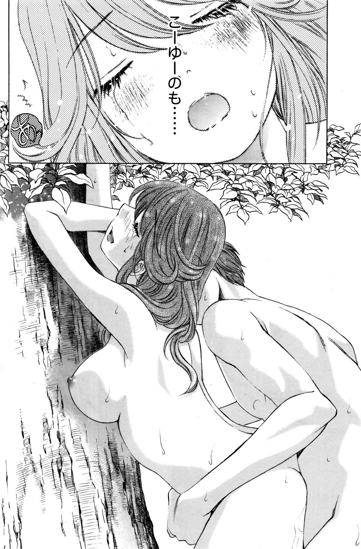 月刊 ビタマン 2016年1月号