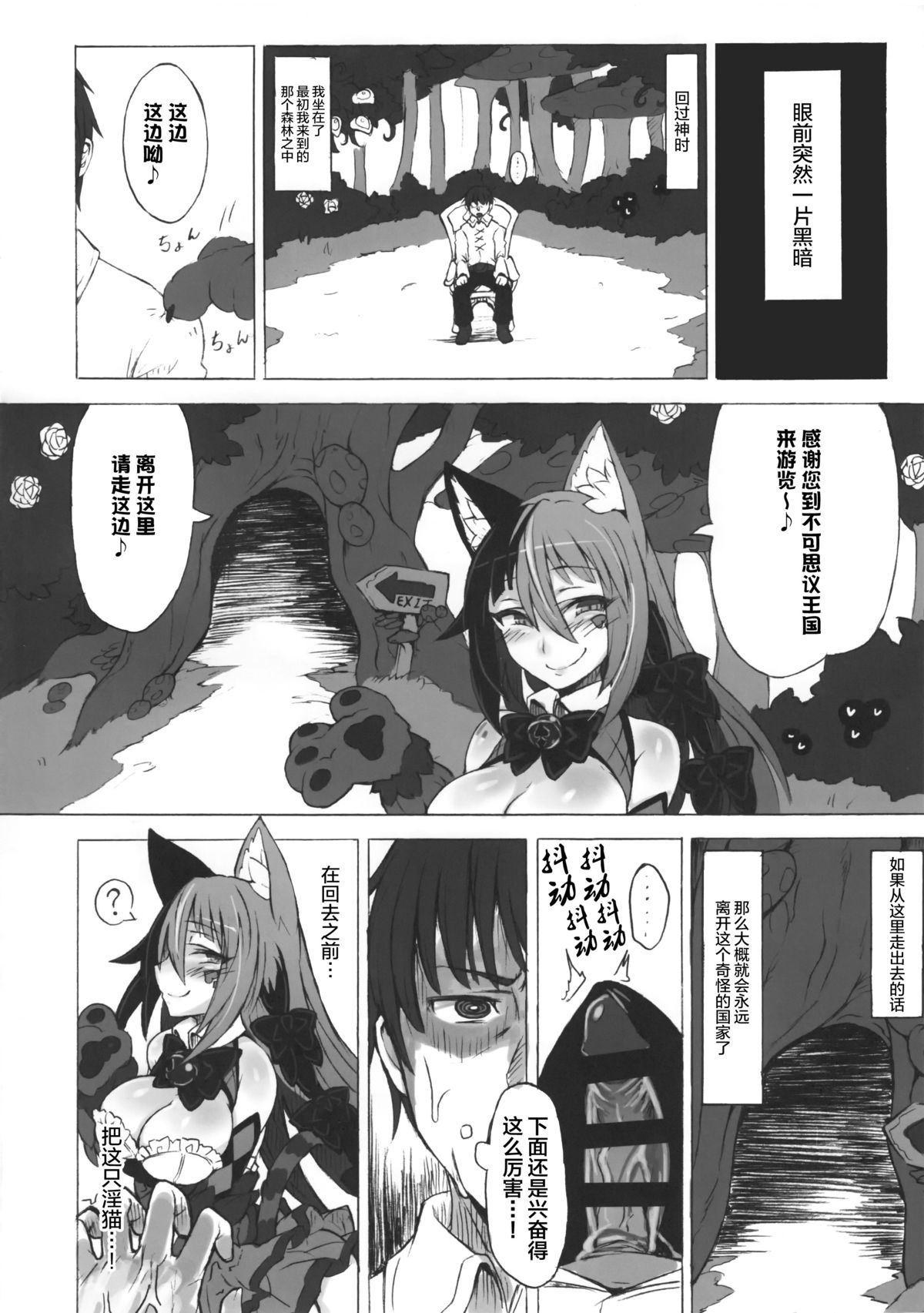 (C89) [クロビネガ (健康クロス)] 魔物娘図鑑・被害報告 ～チェシャ猫のおいでませ不思議の国～ [中国翻訳]