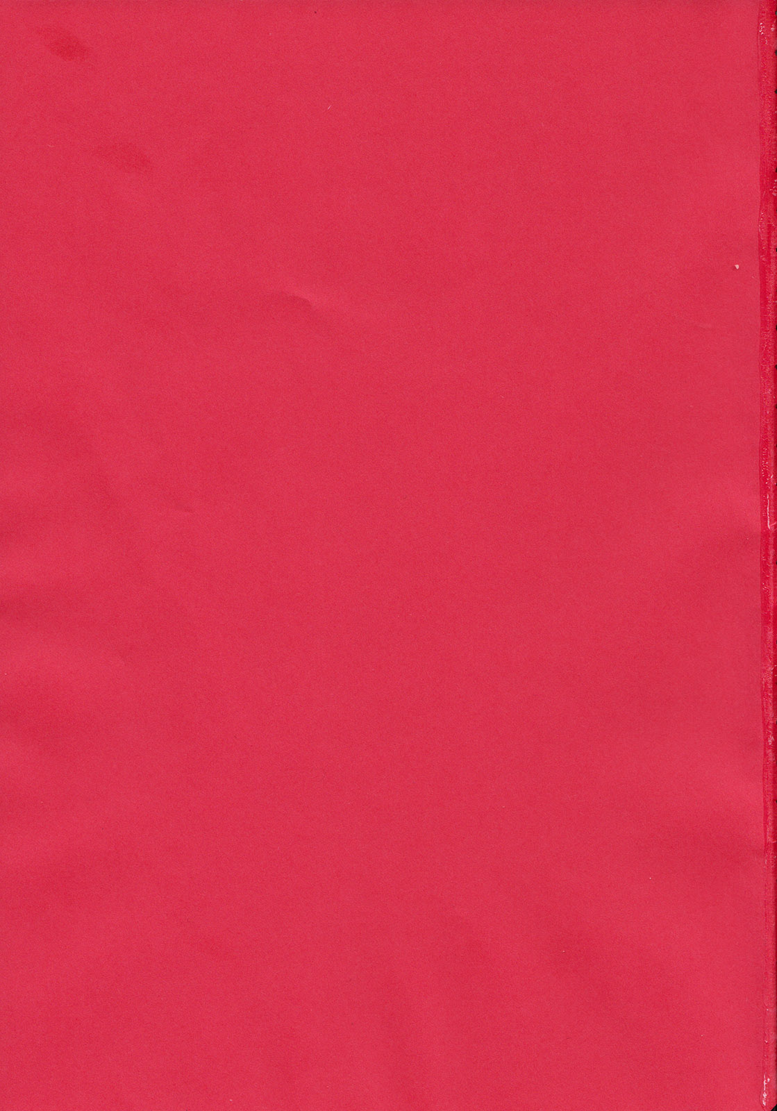 (C84) [観用少年 (URA)] マジカルズンドコファイヤー (マギ)