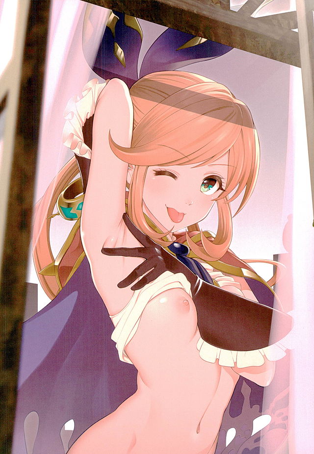 (C89) [ノビタグラフ (いしがな)] GRA ILLU (グランブルーファンタジー)