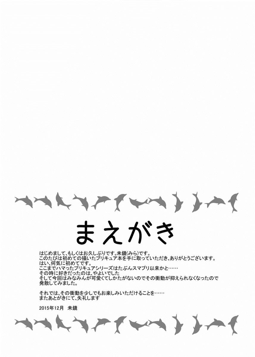 (C89) [MirrorWorld (未鏡)] 学園のプリンセスと心地よい一夜を (Go!プリンセスプリキュア)