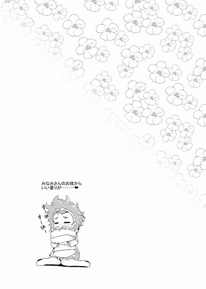 (C89) [MirrorWorld (未鏡)] 学園のプリンセスと心地よい一夜を (Go!プリンセスプリキュア)