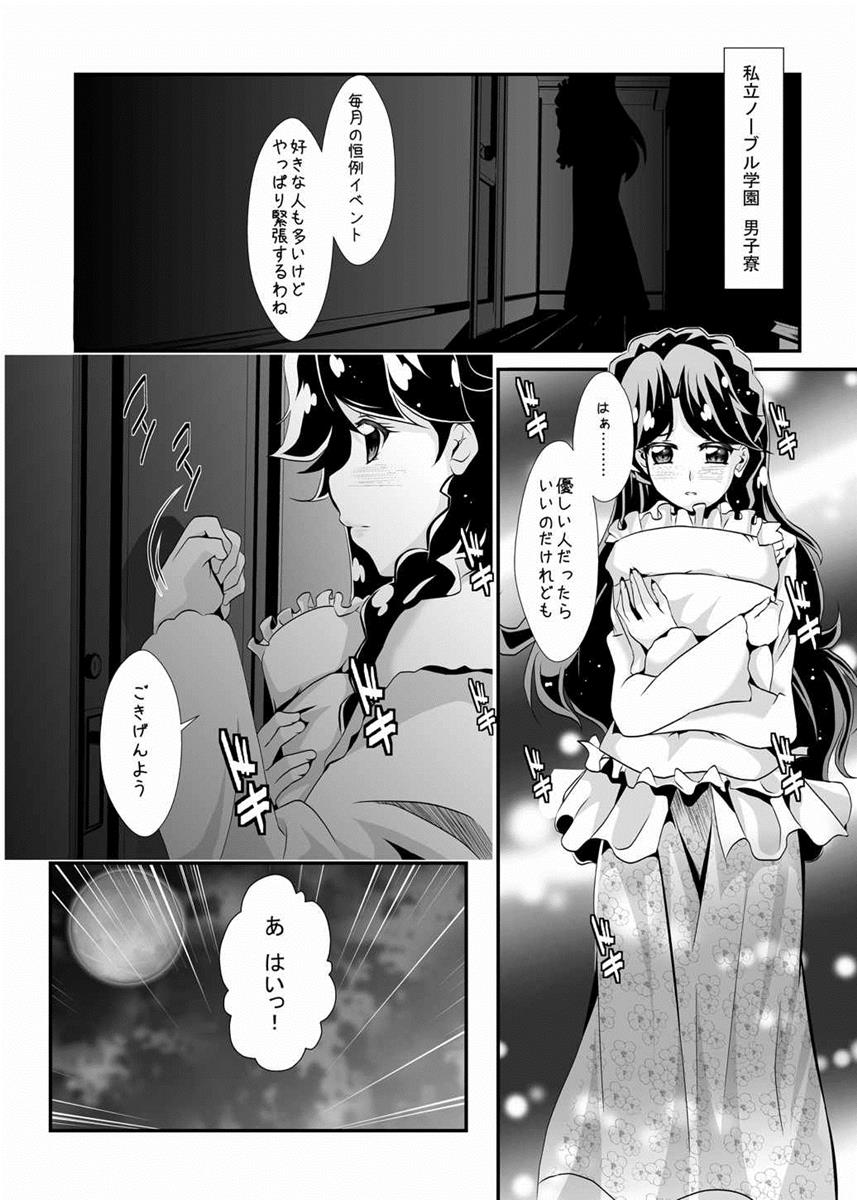 (C89) [MirrorWorld (未鏡)] 学園のプリンセスと心地よい一夜を (Go!プリンセスプリキュア)