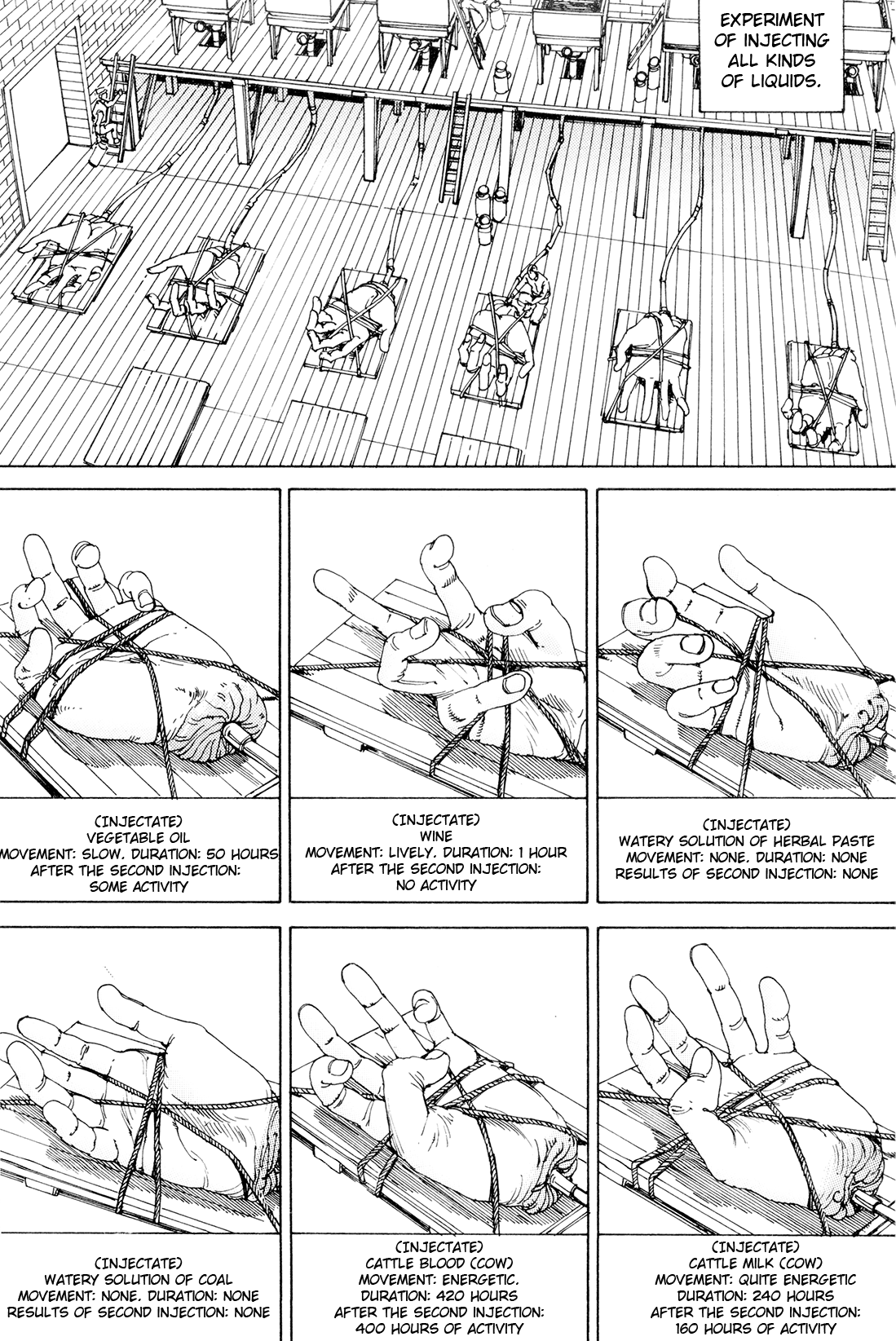 [駕籠真太郎] 超動力蒙古大襲来 [英訳]