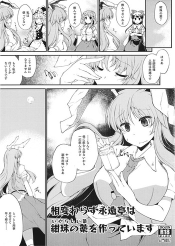 (秋季例大祭2) [IncluDe (ふぅりすと)] 相変わらず永遠亭は いやらしい薬を作っています (東方Project)