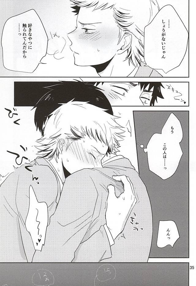 (SPARK10) [レンゲソウ (タナカ)] 耽溺トロイメライ (ダイヤのA)