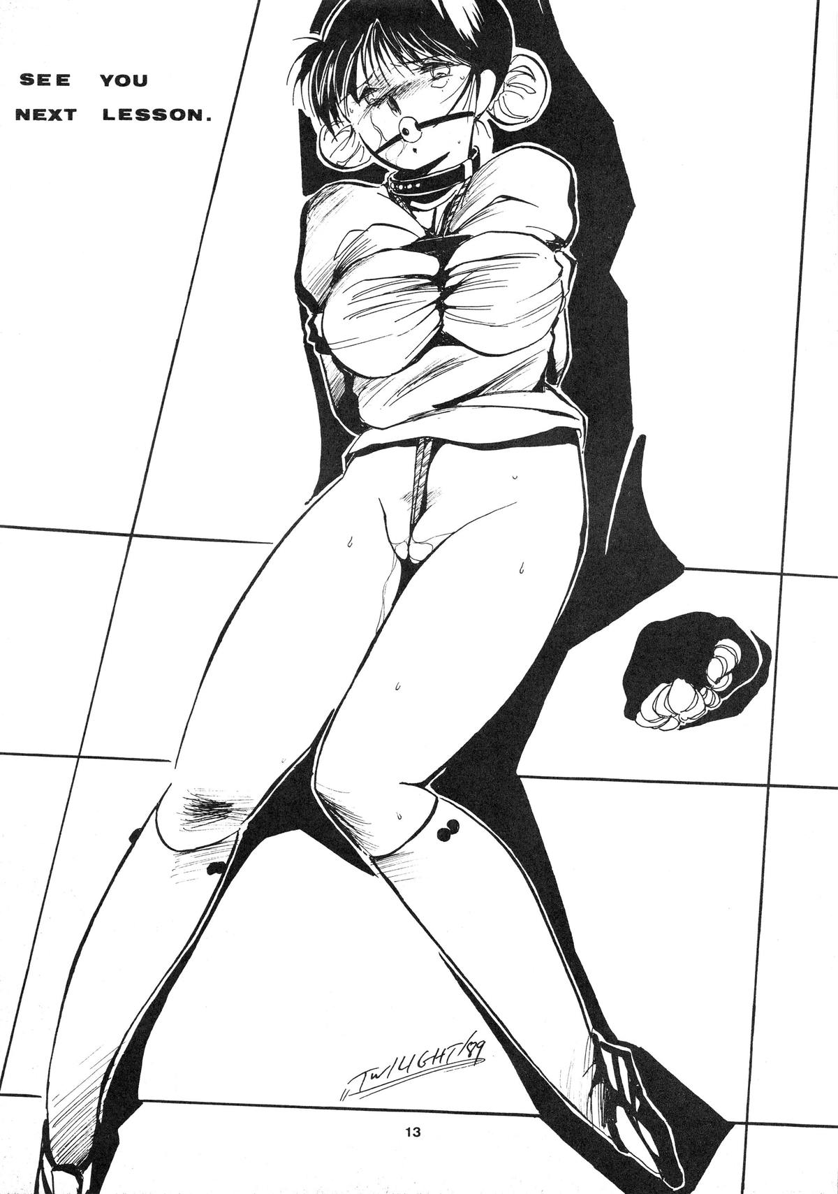 [STUDIO VANGUARD (TWILIGHT)] GIRLS IN THE DARKSIDE 4TH