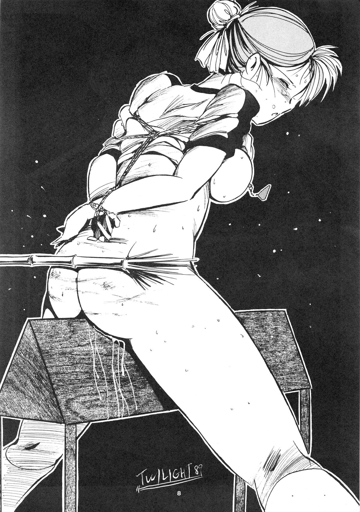 [STUDIO VANGUARD (TWILIGHT)] GIRLS IN THE DARKSIDE 4TH