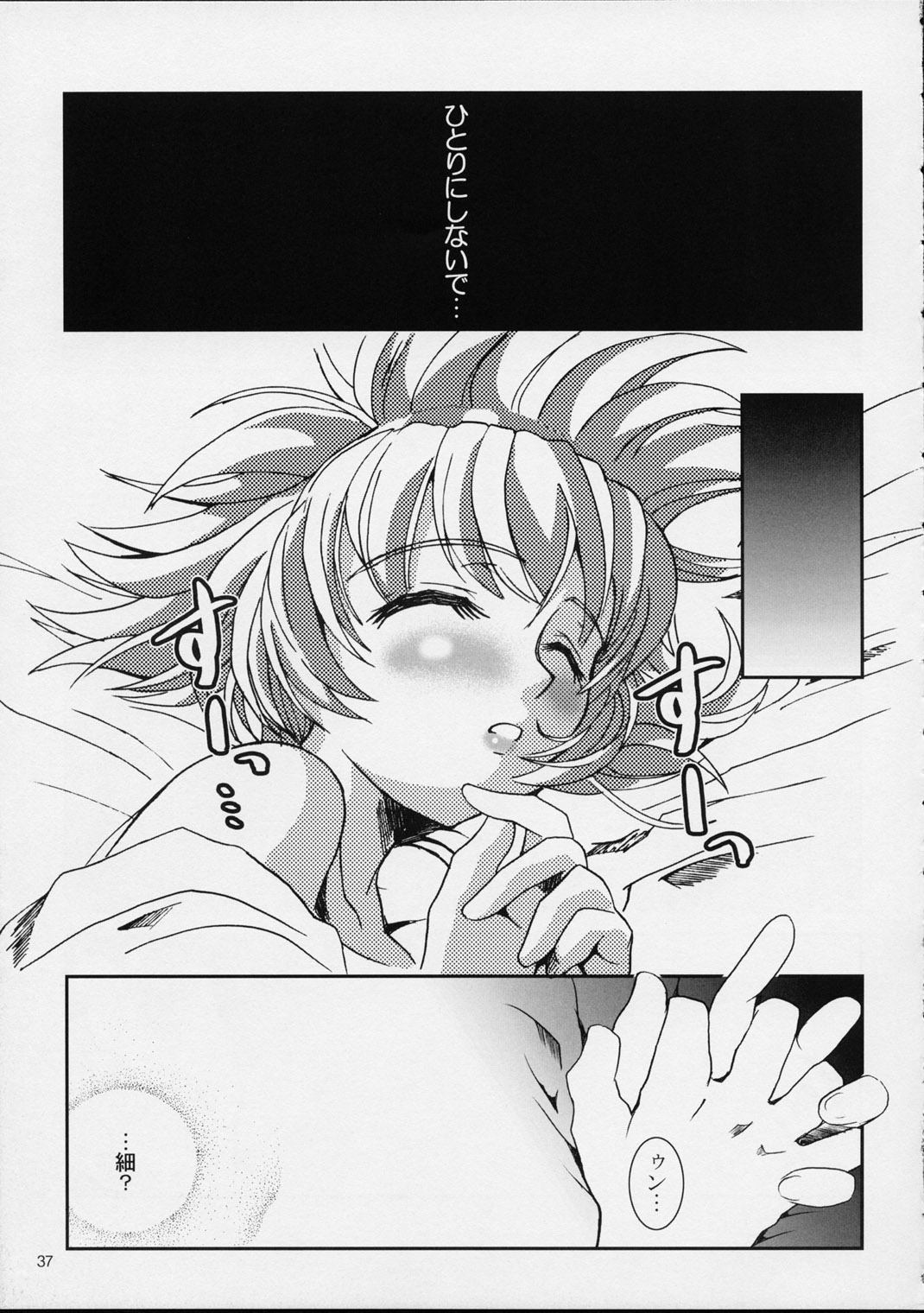 (Cレヴォ31) [Fetish Children (あっぷるーと)] プリーティア2 後朝 (新白雪姫伝説プリーティア)