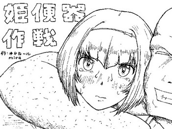 [狂気な試運転] 姫便器作戦