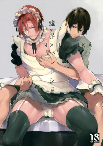 (SPARK10) [焼肉定食 (めぐみ)] 臨界×ハレーション (Free!)