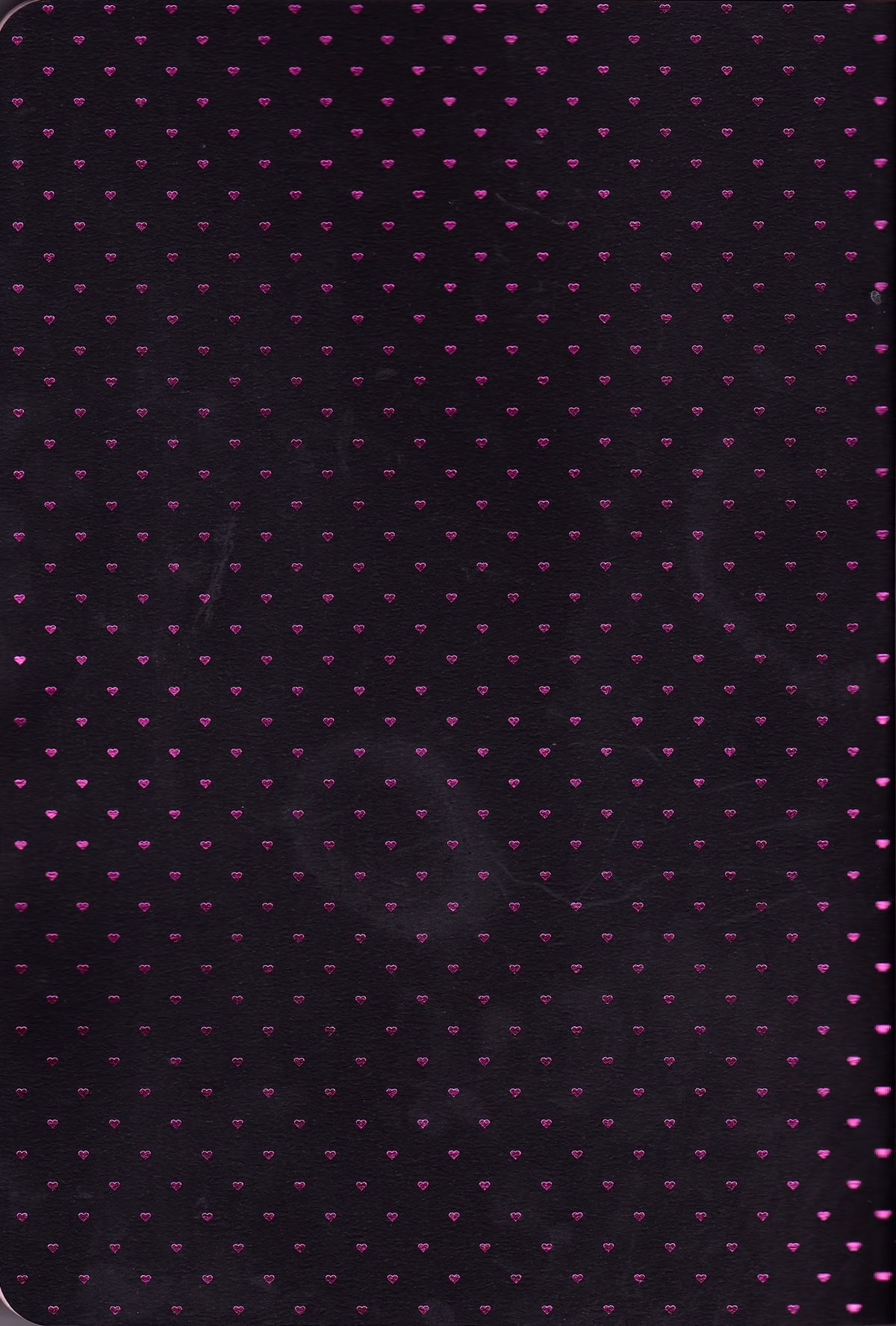 (SPARK10) [STAR FALL (あおの)] TELL ME (Free!) [英訳]