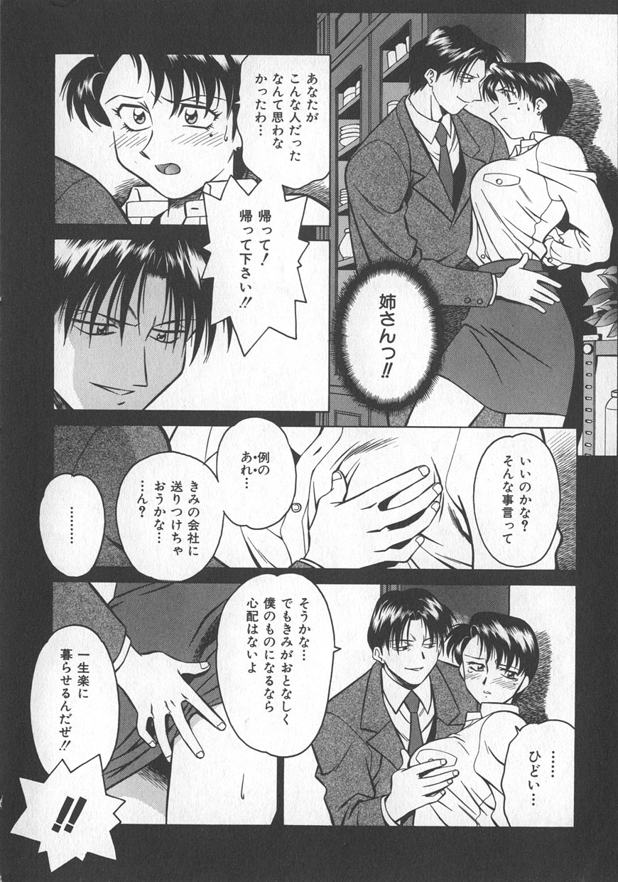 [山桜桃] レイミアよろずカンパニー