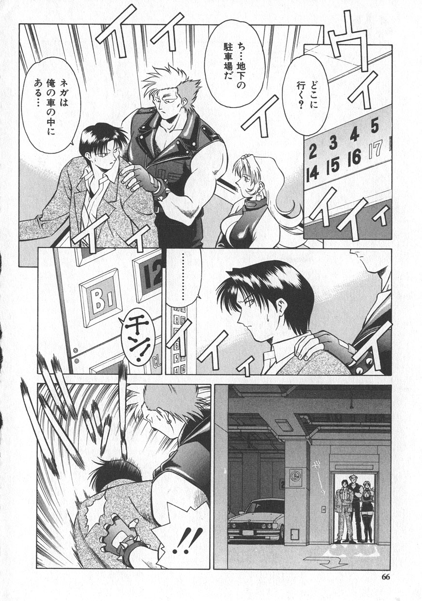 [山桜桃] レイミアよろずカンパニー