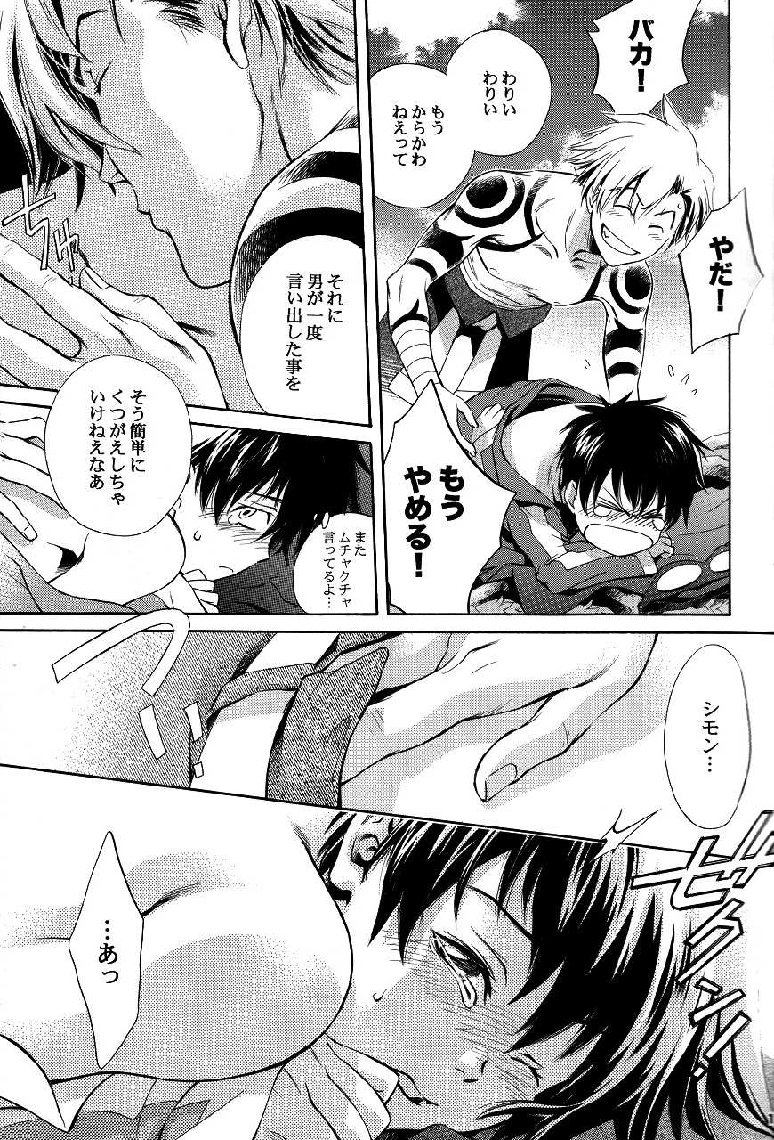 [カラス堂 (紅カラス)] Waist (天元突破グレンラガン)