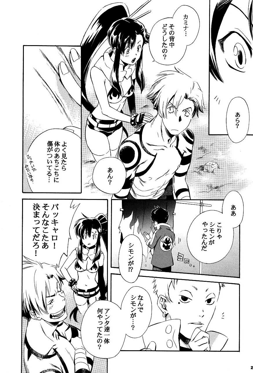 [カラス堂 (紅カラス)] Waist (天元突破グレンラガン)