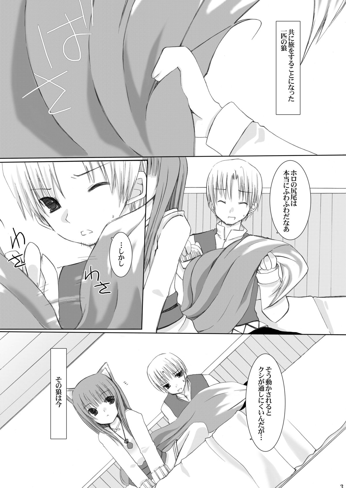 (サンクリ40)	[Cactus (壱ル)] 不機嫌な狼 (狼と香辛料)