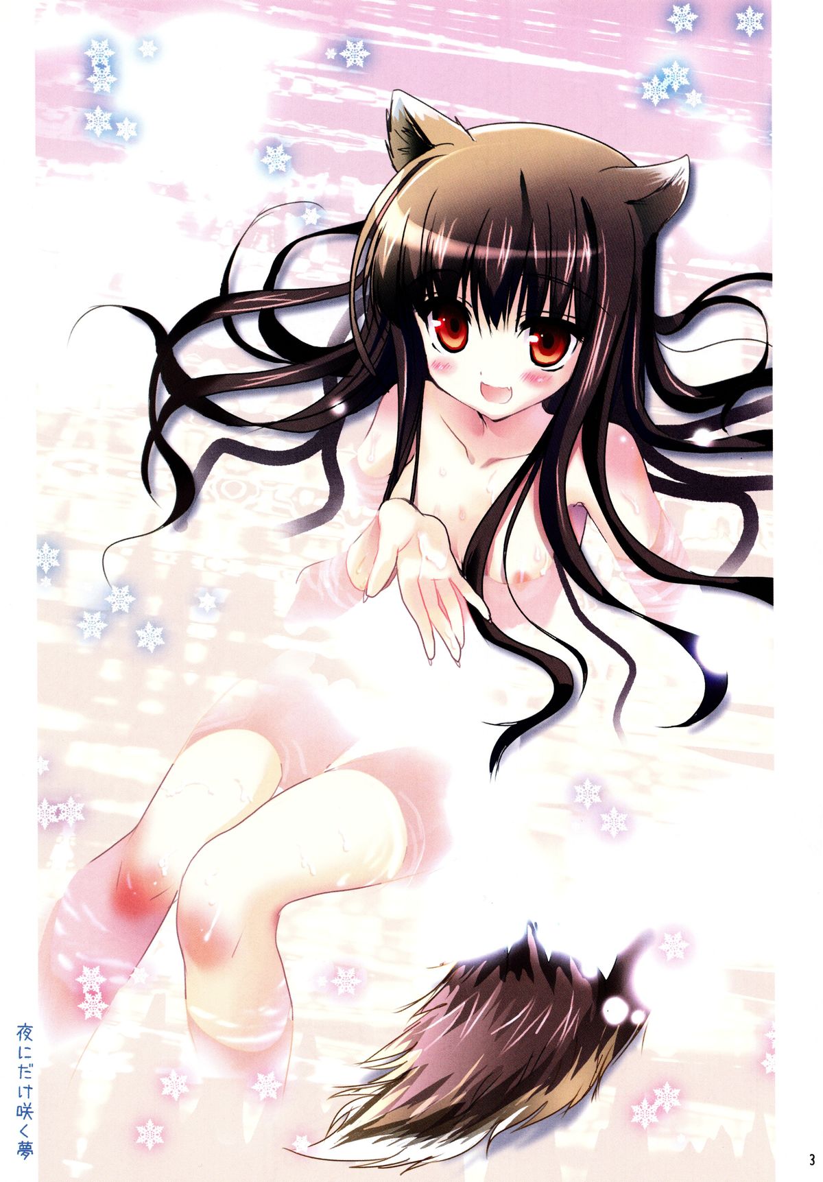 (C73) [Chimaroni? (ちまろ)] 夜にだけ咲く夢 (狼と香辛料)