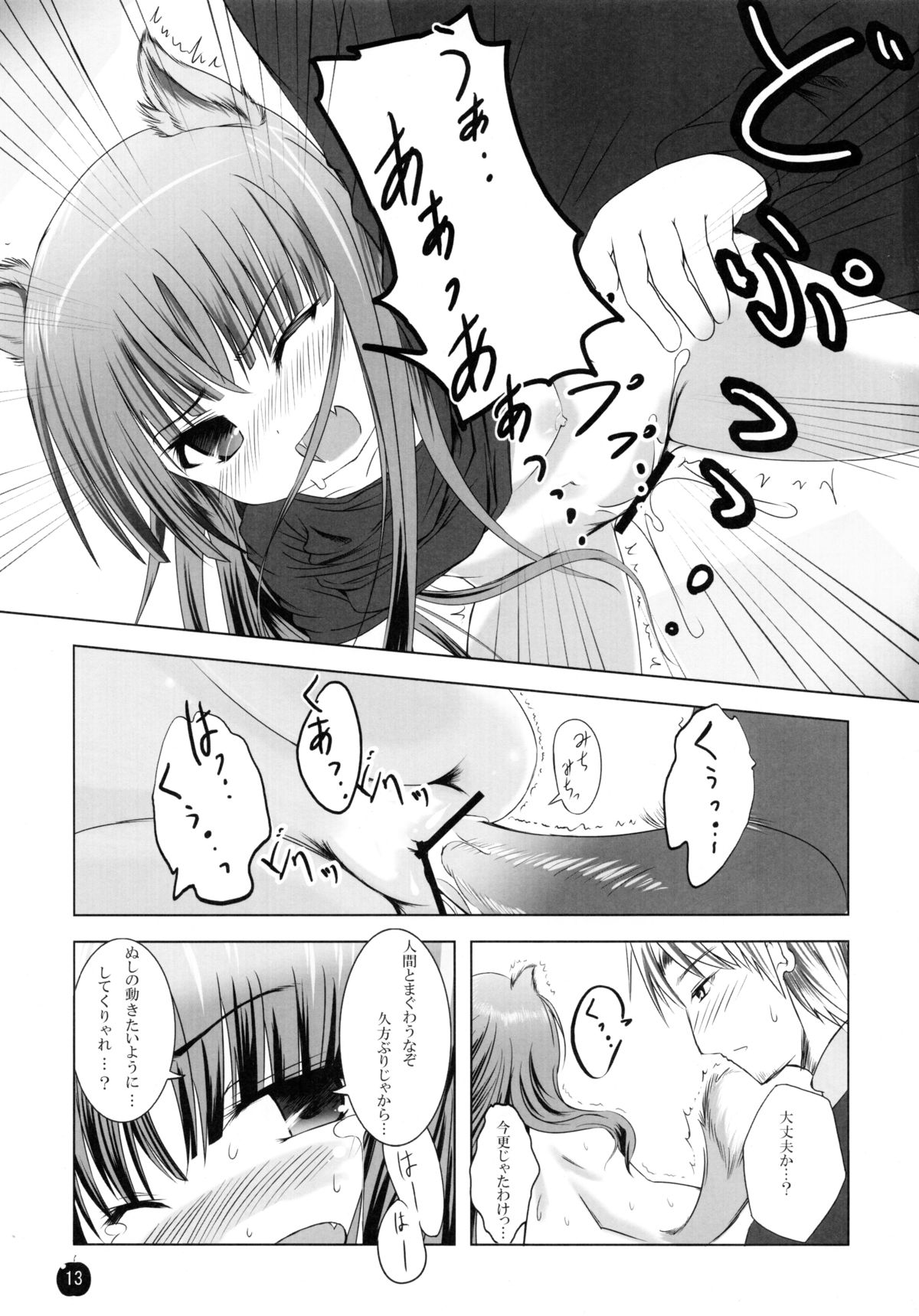 (サンクリ38) [Dream Halls! (綴り、水瀬修)] 亜麻色の君を愛す (狼と香辛料)